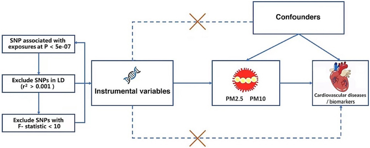 Frontiers | Causality of particulate matter on