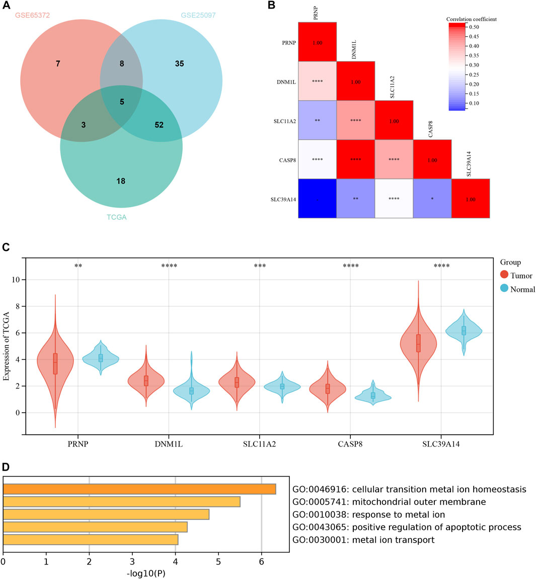 Frontiers | ICD-related risk model predicts the prognosis Frontiers | ICD-related risk model predicts the prognosis