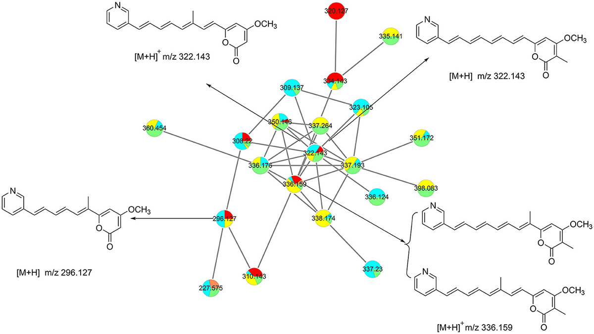 Wearable Nano-Based Gas Sensors for Environmental Monitoring