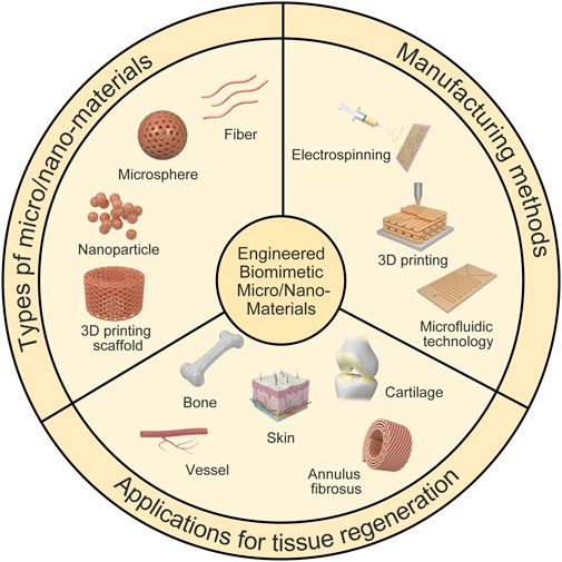 Frontiers | Engineered biomimetic micro/nano-materials for tissue 