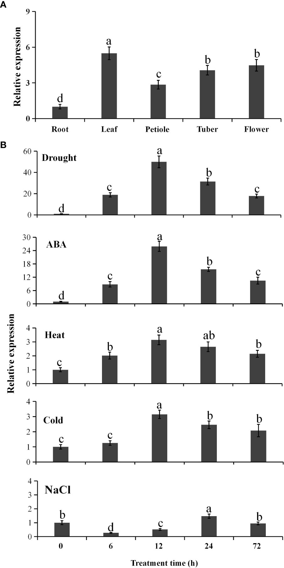 Downregulation of the FTO m6A RNA demethylase promotes EMT