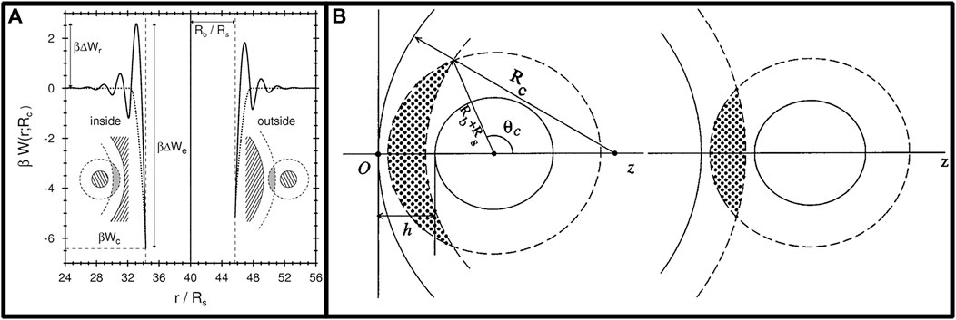 Frontiers | Depletion attraction in colloidal and bacterial