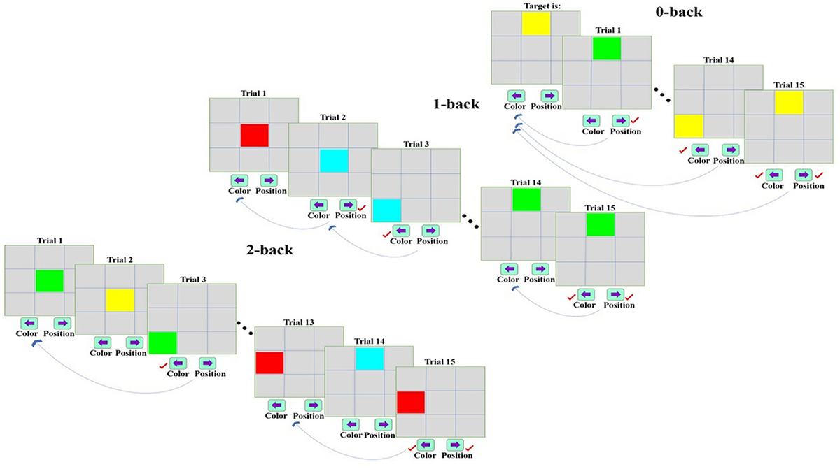 Sex based differences in functional connectivity during a working memory  task: an fNIRS study - Frontiers