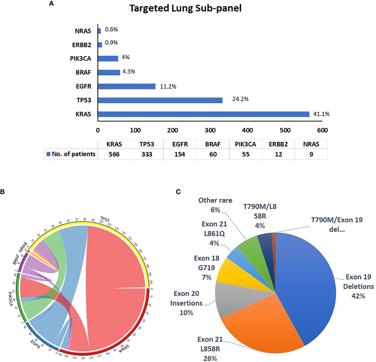 Frontiers | Molecular profiling of solid tumors by next