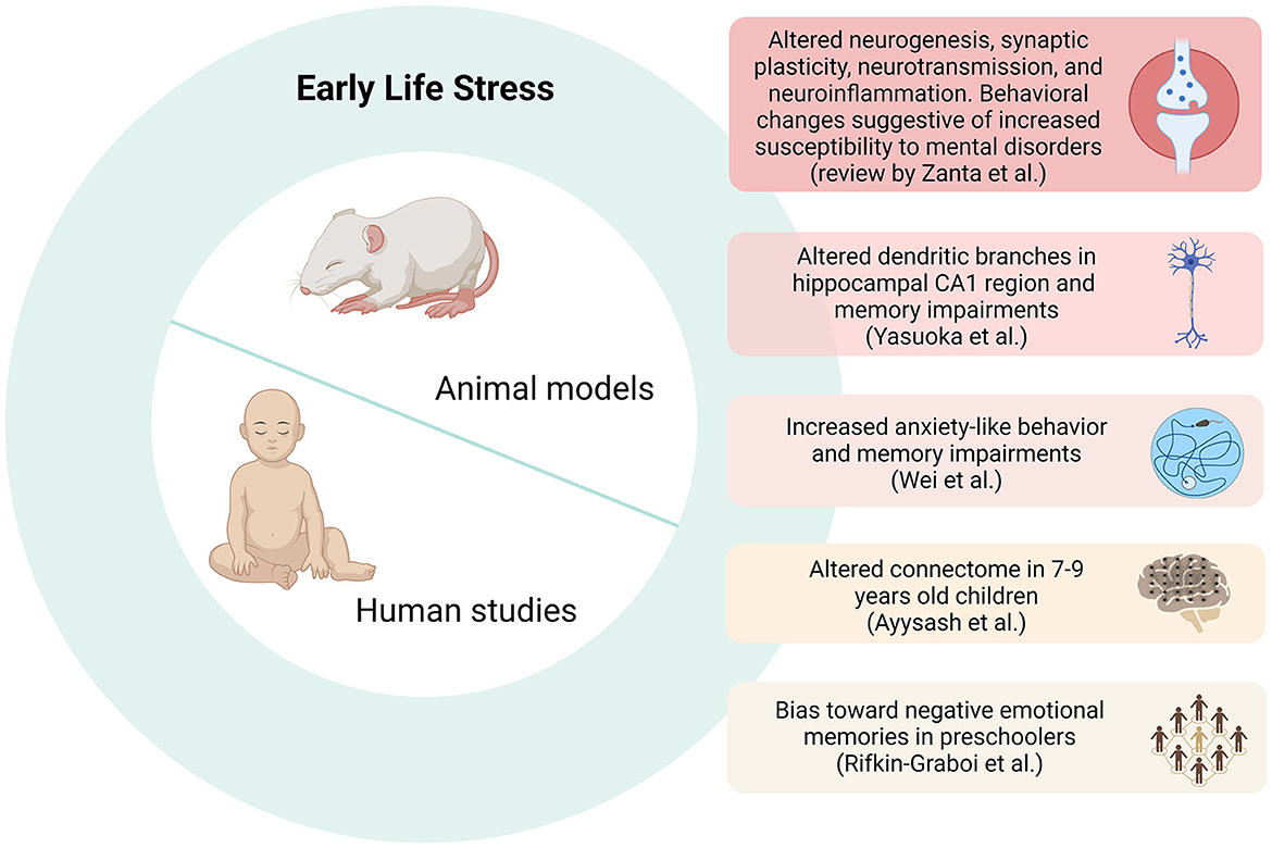 Frontiers Editorial Early life events shedding light on  