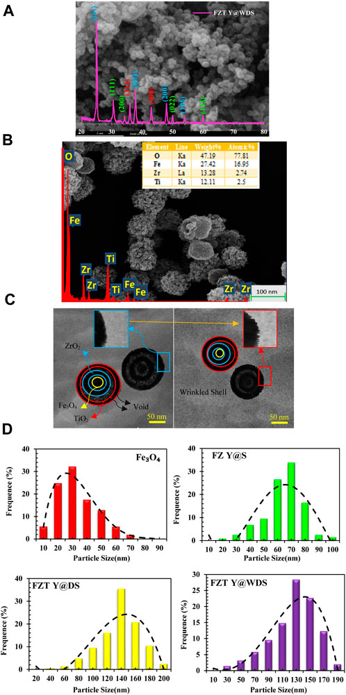 Amazon.com: Chemical Dynamics in Condensed Phases
