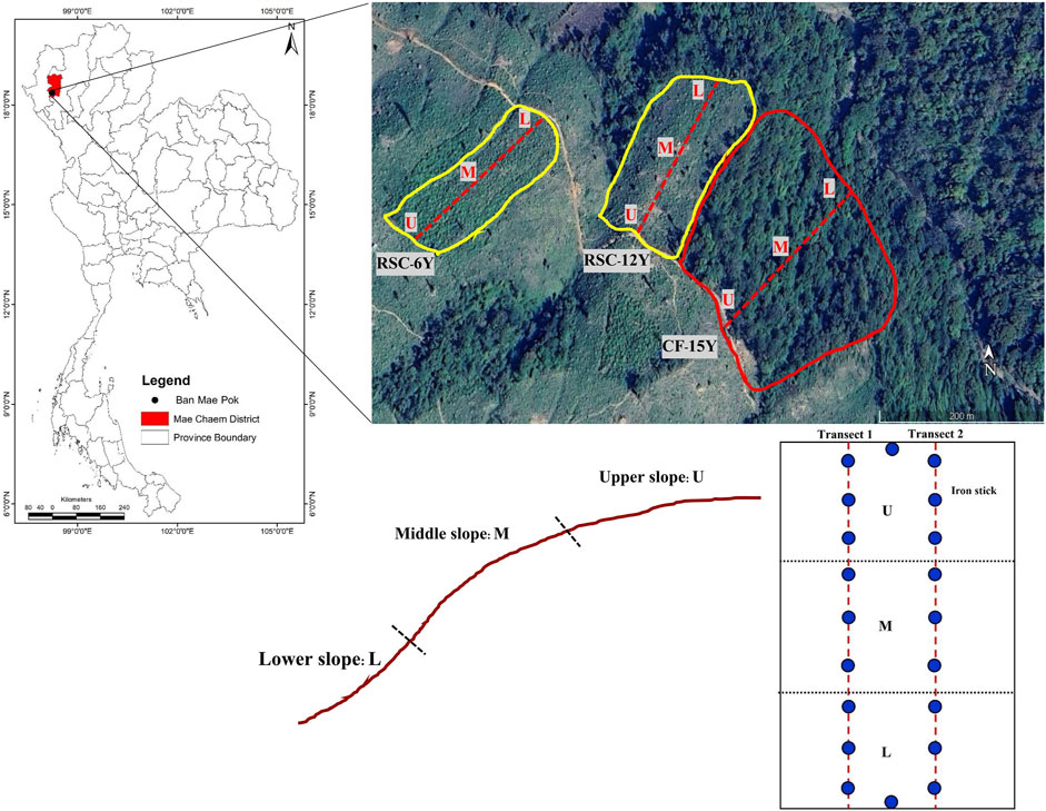 Frontiers | Variations of soil properties and soil surface
