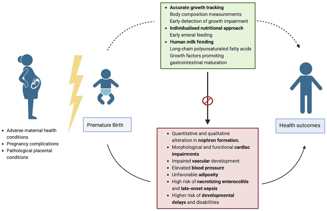 Frontiers Beyond survival: the lasting effects of premature birth