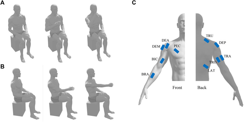 Manipulation of Extremity 中川 賢雄 Frontiers | Distinct Kinematic and Neuromuscular Activation