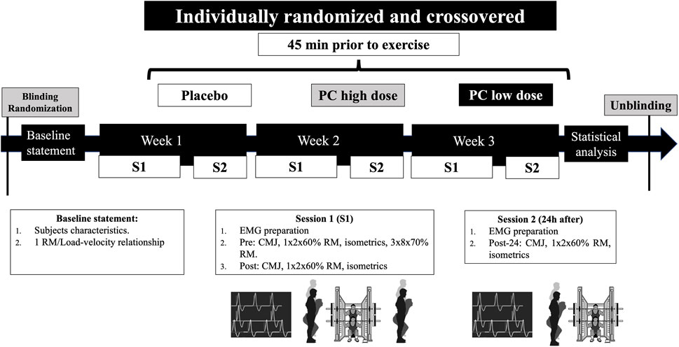 健康・医学 Effective Functional Progressions Effective Functional Progression in Sport Rehabilitation PDF
