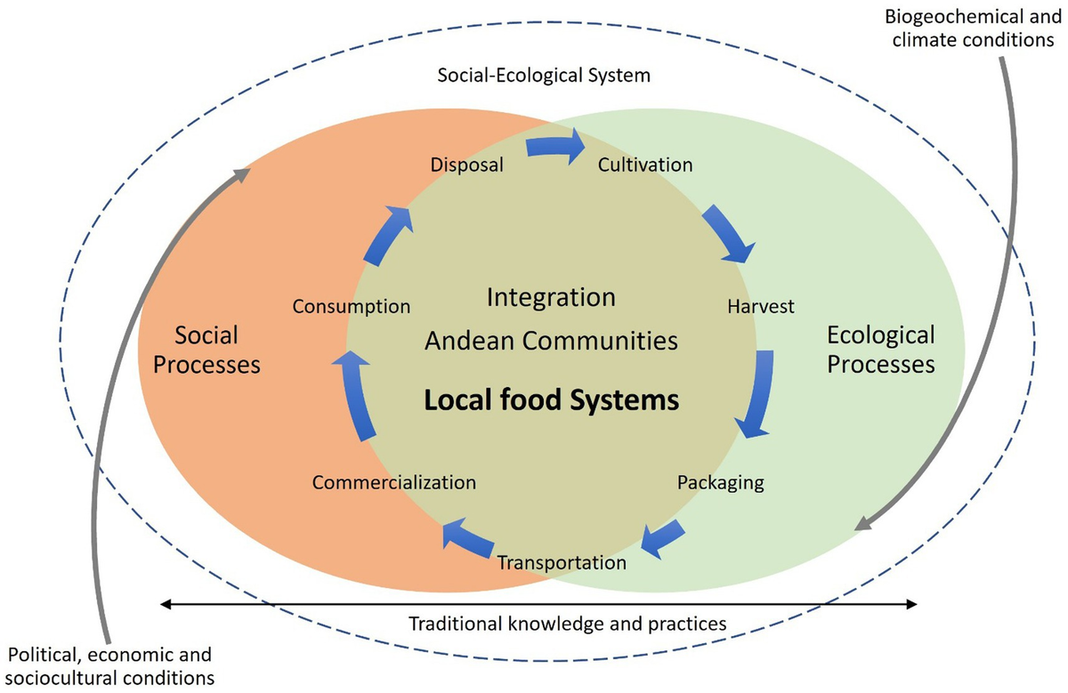 Frontiers Conceptualization of alternative food networks in Latin
