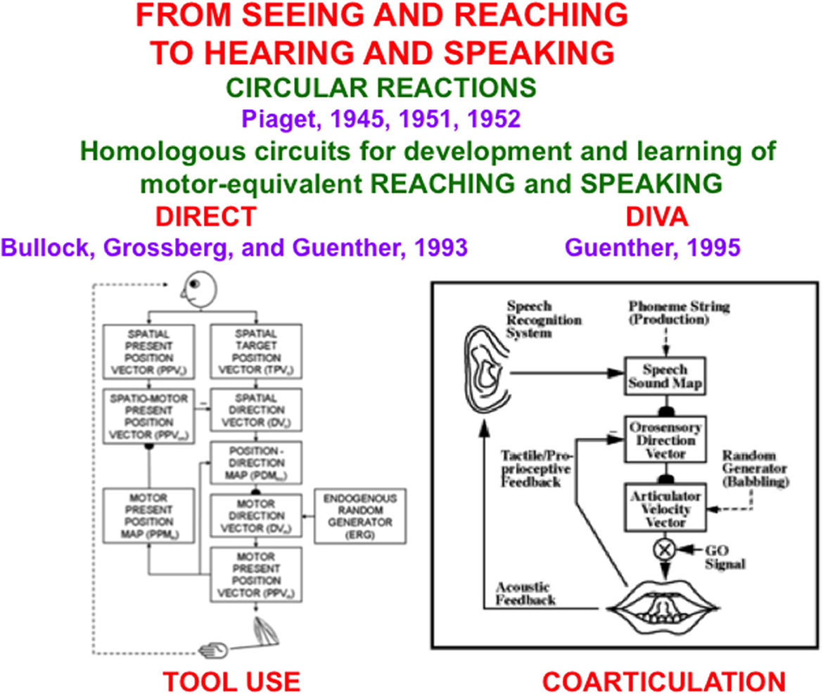 Frontiers | How children learn to understand language meanings: a neural  model of adult–child multimodal interactions in real-time