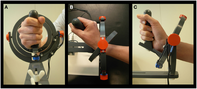 Frontiers | Muscle co-activity tuning in Parkinsonian hand movement ...