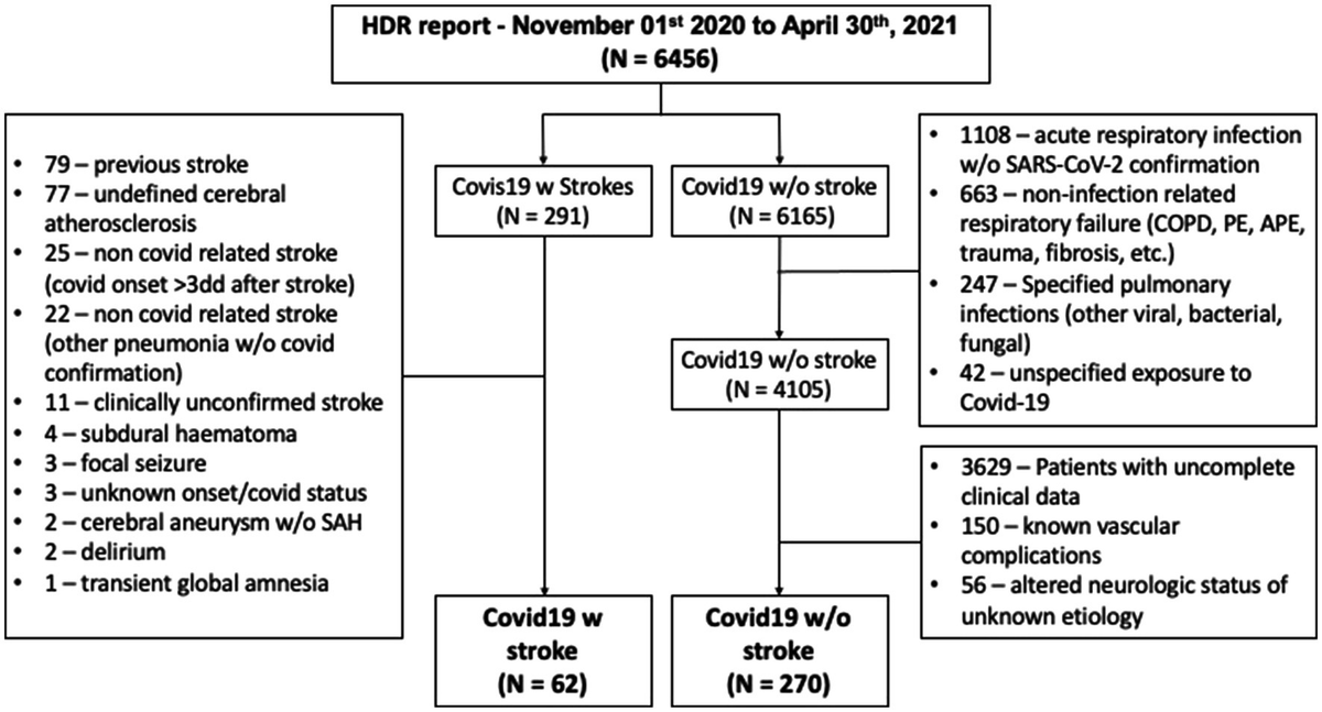 Frontiers | Ischemic strokes in COVID-19: risk factors