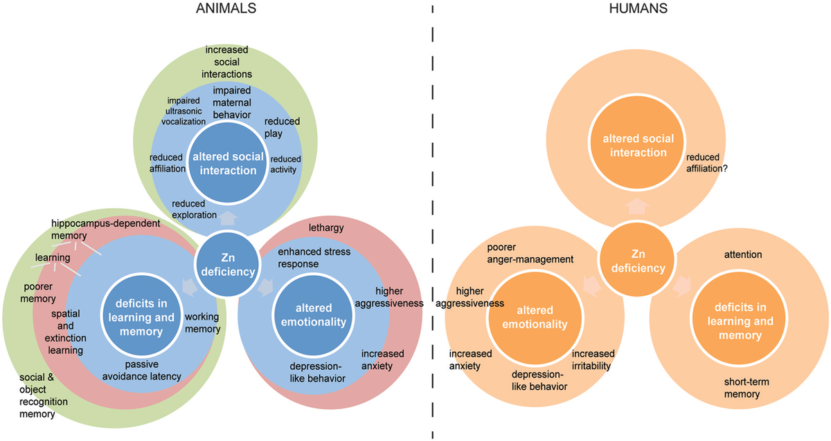 Mechanisms of Animal Behavior
洋書　動物行動のメカ Correlated Neural Activity and Encoding of Behavior across