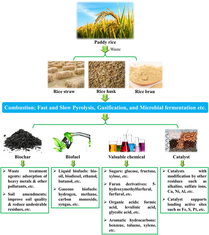 Selection of Spectral Parameters and Optimization of