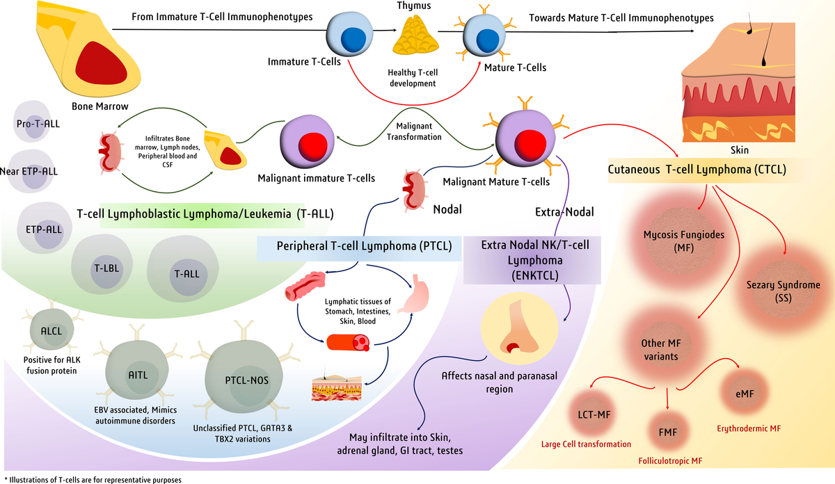 正規品 Frontiers | Diagnostic significance of dysregulated miRNAs 安全靴