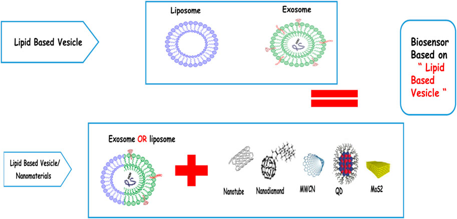 Noevir BIOSIGN IT Liposome | Suzy's Beauty