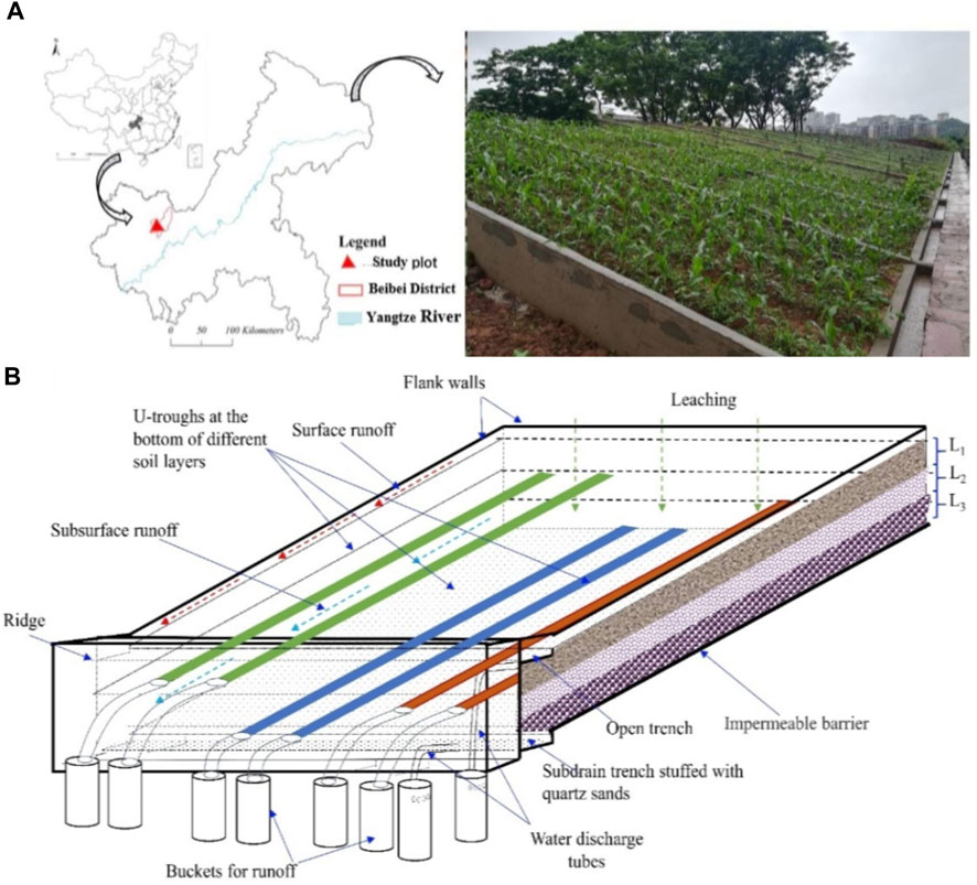 『4年保証』 | Frontiers Characteristics phosphorus agricultural of 洋画・外国映画