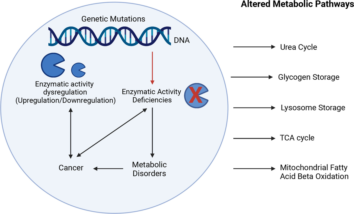 Frontiers | Genetics of enzymatic dysfunctions in metabolic