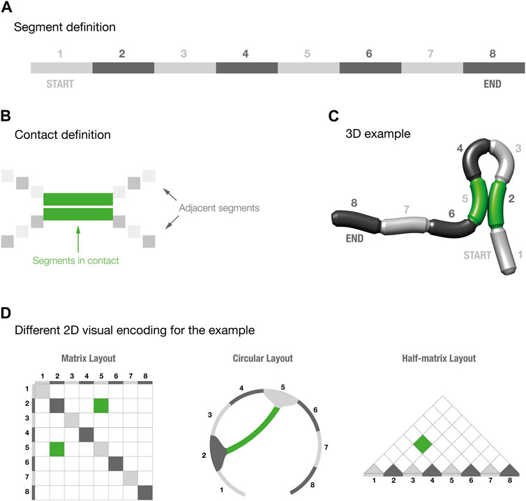 Frontiers | Assessing 2D visual encoding of 3D spatial connectivity