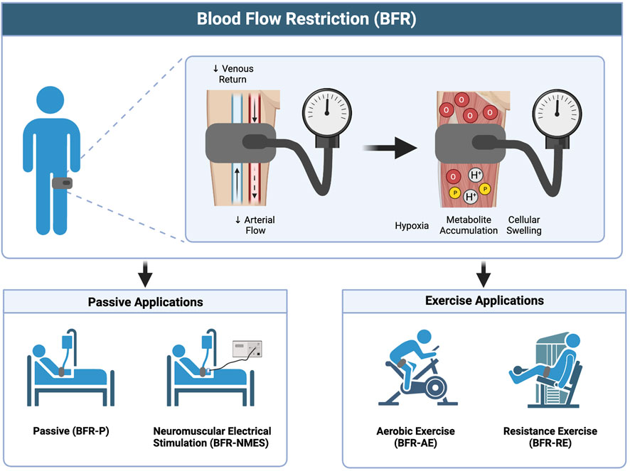 Blood flow occlusion training online