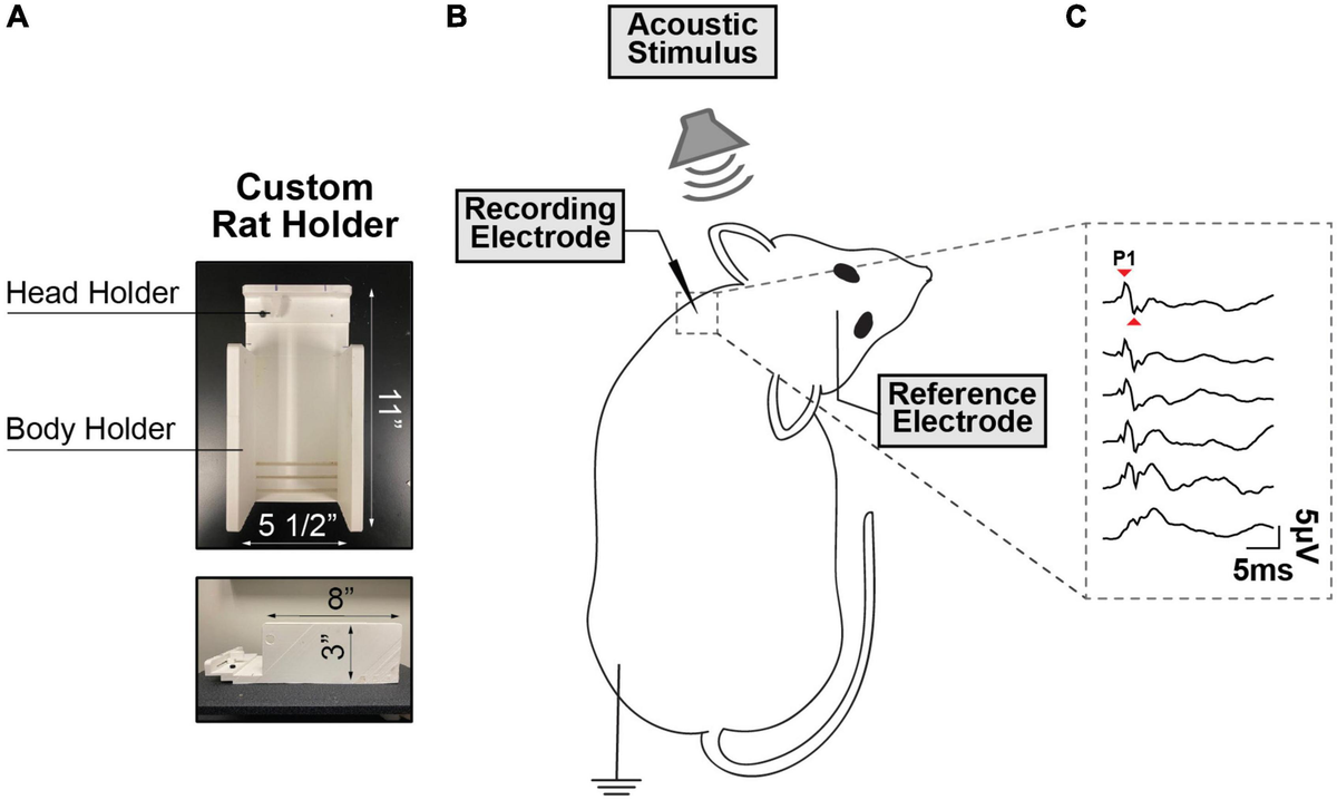 Frontiers | A reliable and reproducible protocol for sound