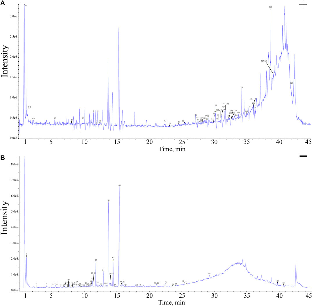 その他 BE:FIRST BE:FIRSTクルーネックスウェット – BMSG