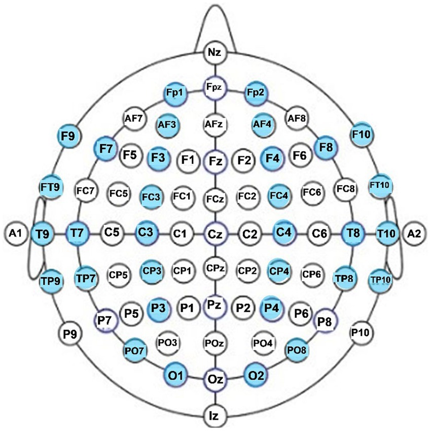 Frontiers | Comparison of comprehensive quantitative EEG