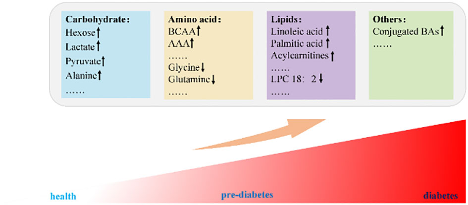 Frontiers | Metabolite profiles of diabetes mellitus and