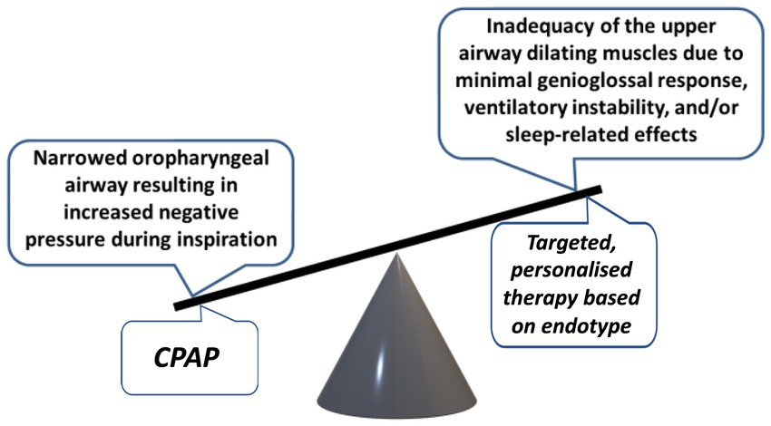 Frontiers Translation of obstructive sleep apnea pathophysiology and Frontiers Translation of obstructive sleep apnea pathophysiology and