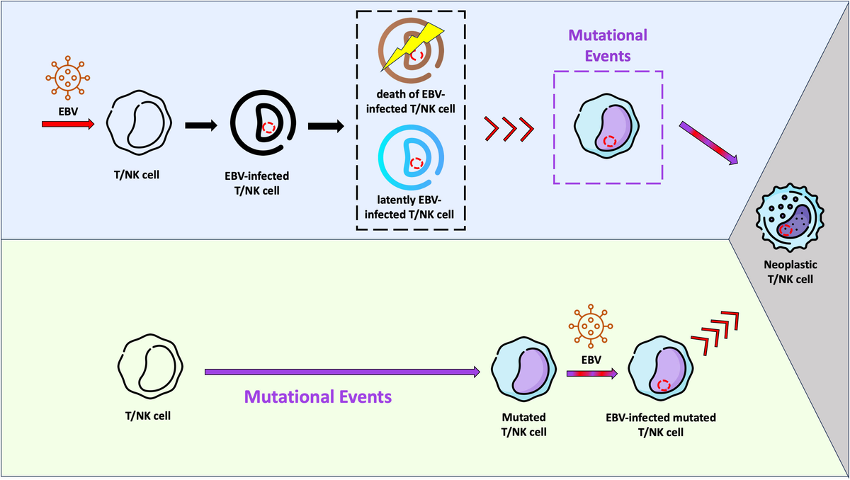 Simultaneous targeting of PI3Kδ and a PI3Kδ-dependent MEK1/2