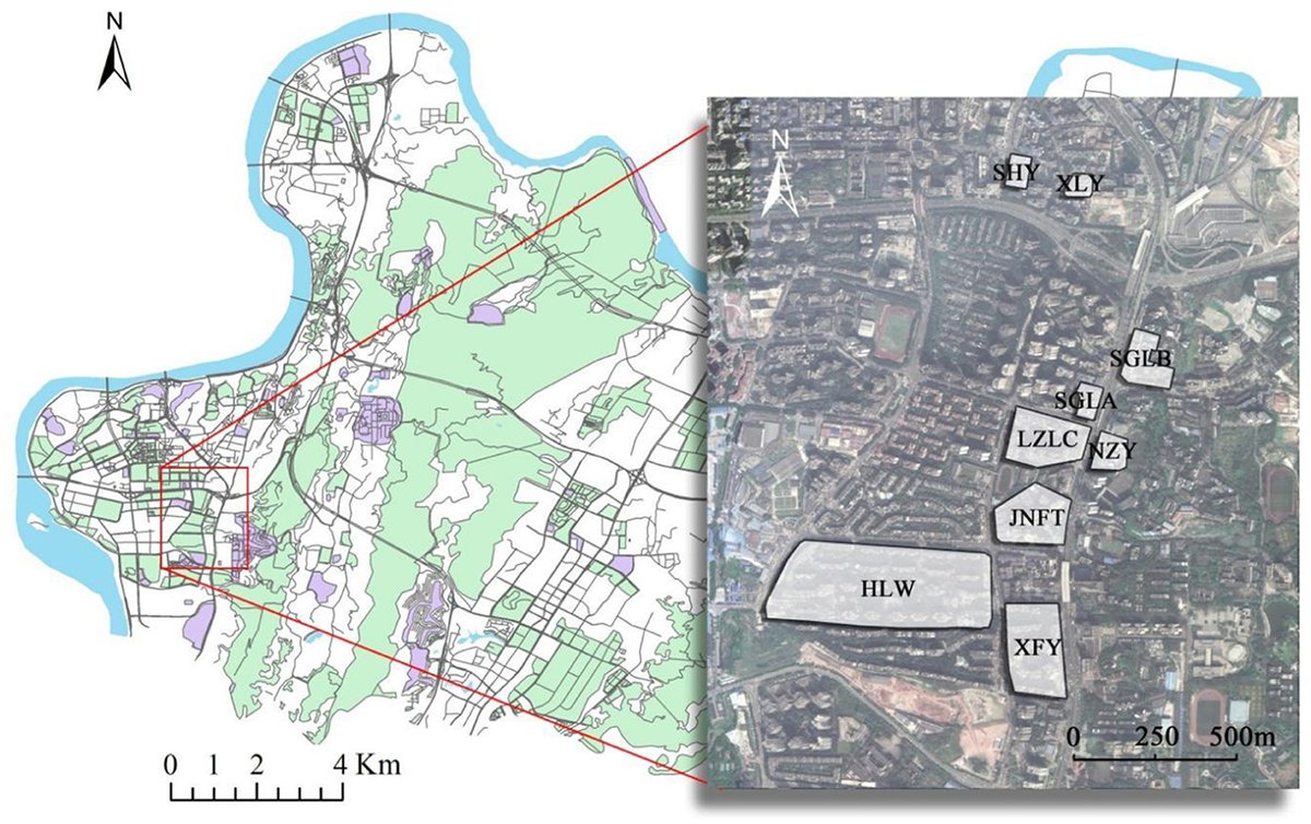 Frontiers | The influence path of community green exposure
