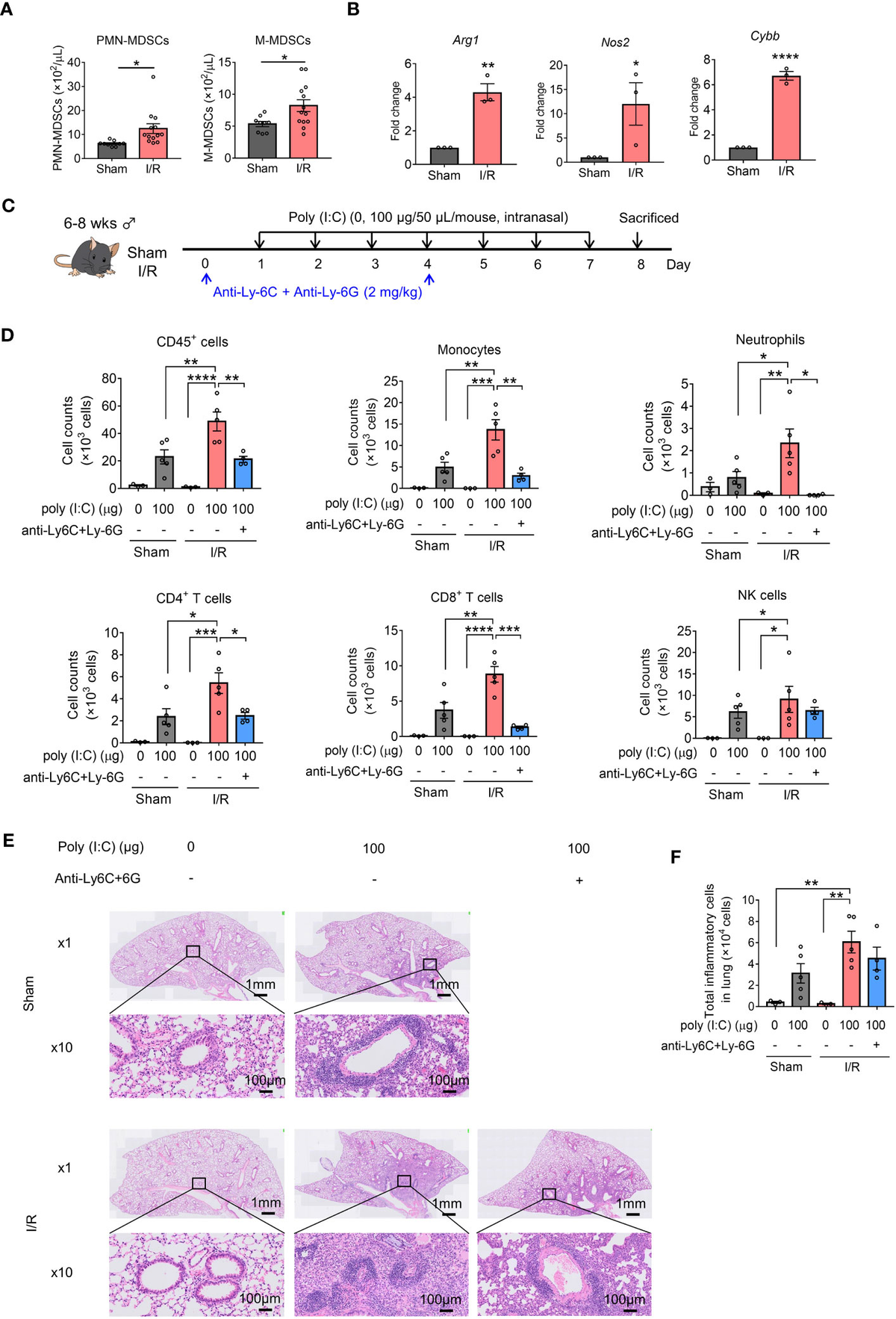 人気海外ブランドアイテム｜ファッション通販 | Frontiers Myeloid-derived poly exacerbate cells suppressor 文房具・ステーショナリー