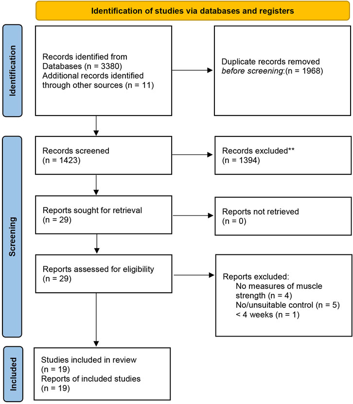 Frontiers | Muscle strength adaptation between high-load