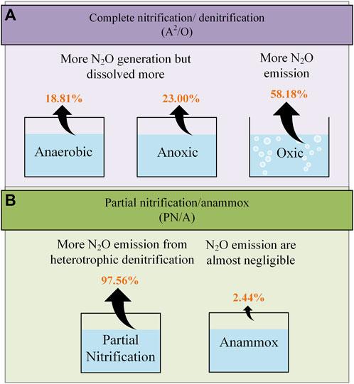 Frontiers | N2O emission reduction in the biological