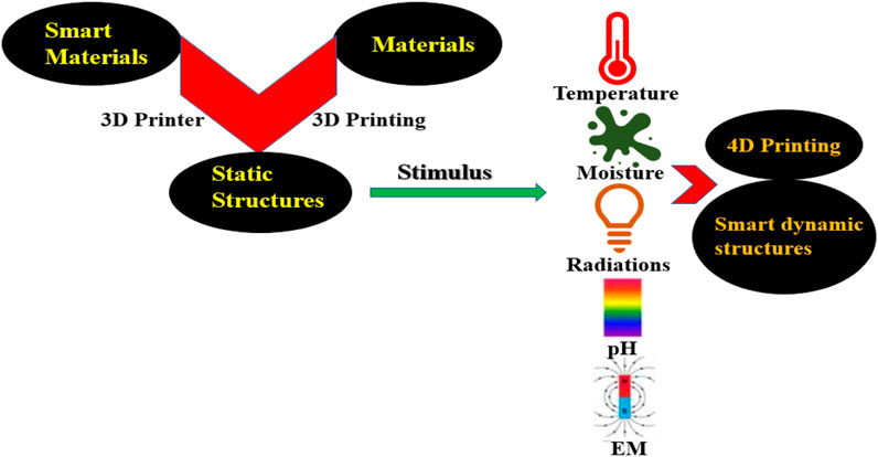 Frontiers | 4-Dimensional printing: exploring current and