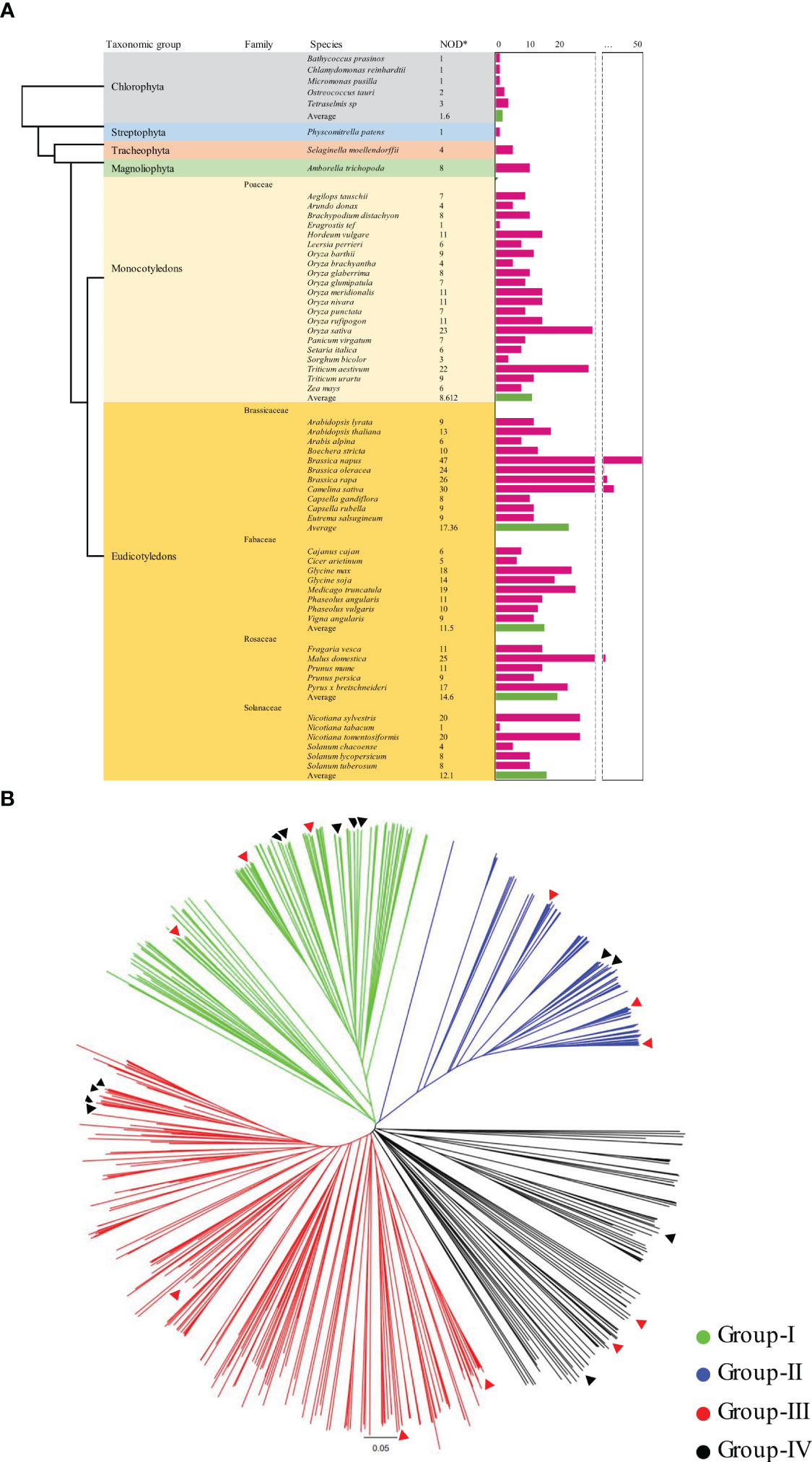 Frontiers | Genome-wide analysis of KIX gene family for