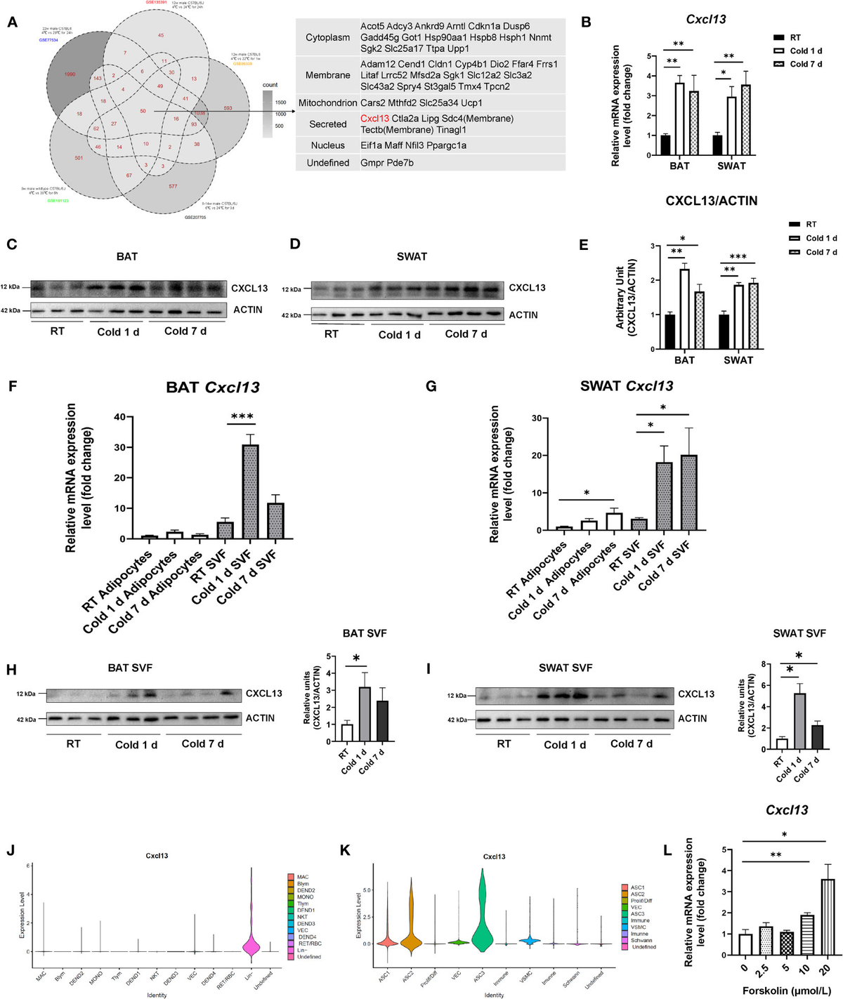 macrophage様ご確認用出品 Macrophage Marker Antibody Panel - Human (ab254013) | Abcam