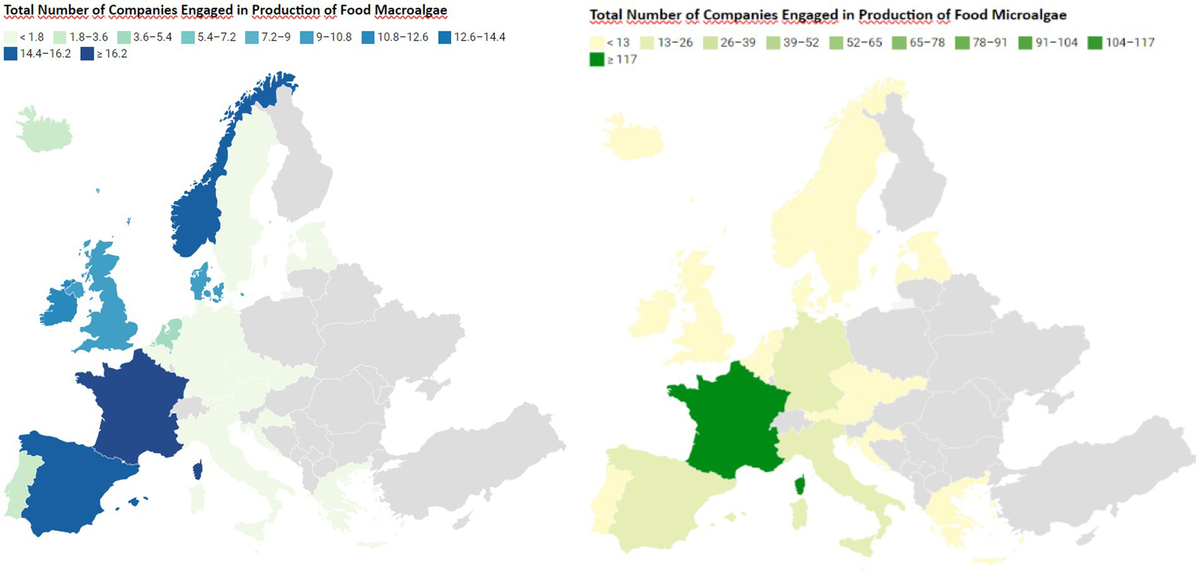 Frontiers | Algae as a source of protein in the sustainable food and gastronomy industry