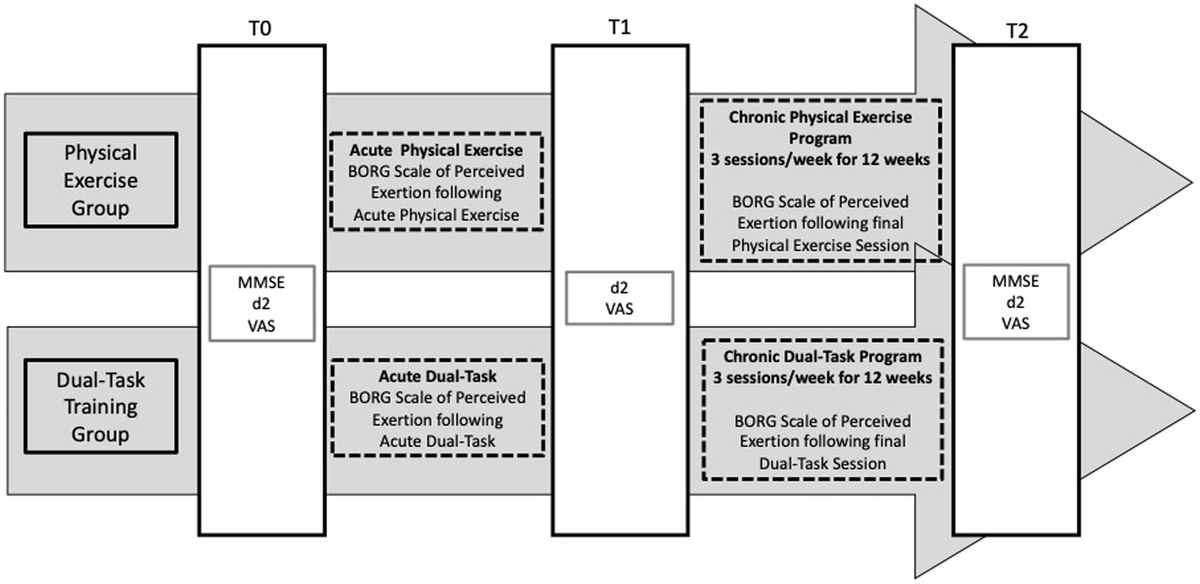 Frontiers | Aerobic physical exercise versus dual-task cognitive 