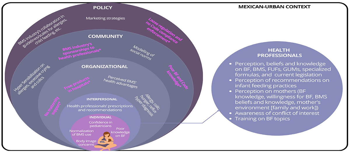Healthcare professionals and commercial milk formula recommendations in the urban Mexican context