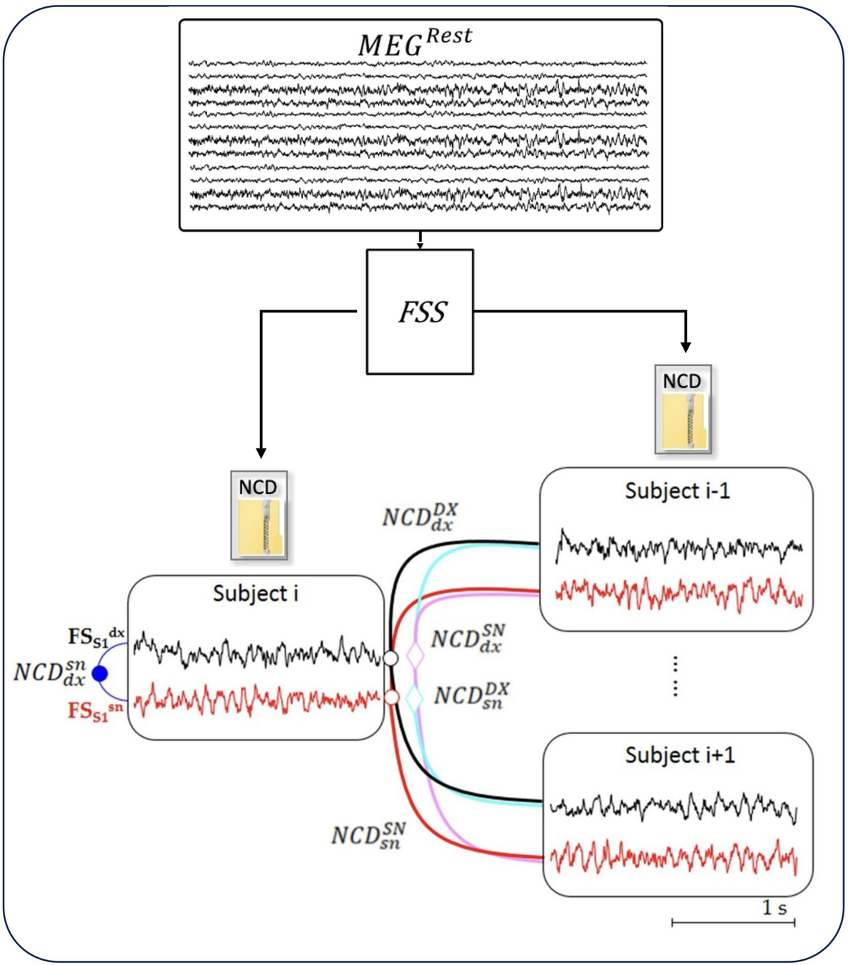 Frontiers | Functional balance at rest of hemispheric
