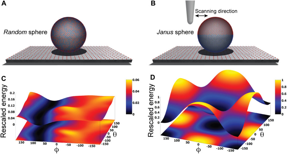 Three-Dimensional Electron Microscopy of Macromolecular