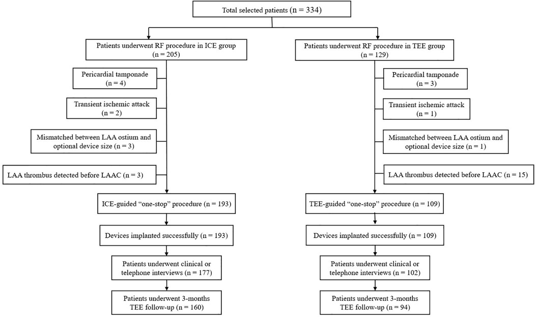 Frontiers Comparison of intracardiac vs. transesophageal