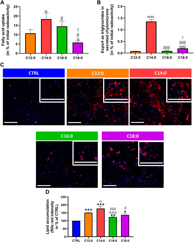 UofL immunologist summarizes functions of protein family