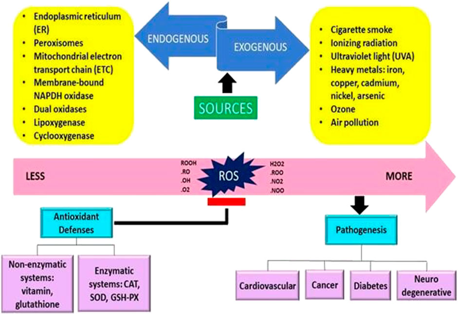 Frontiers From imbalance to impairment the central role of  