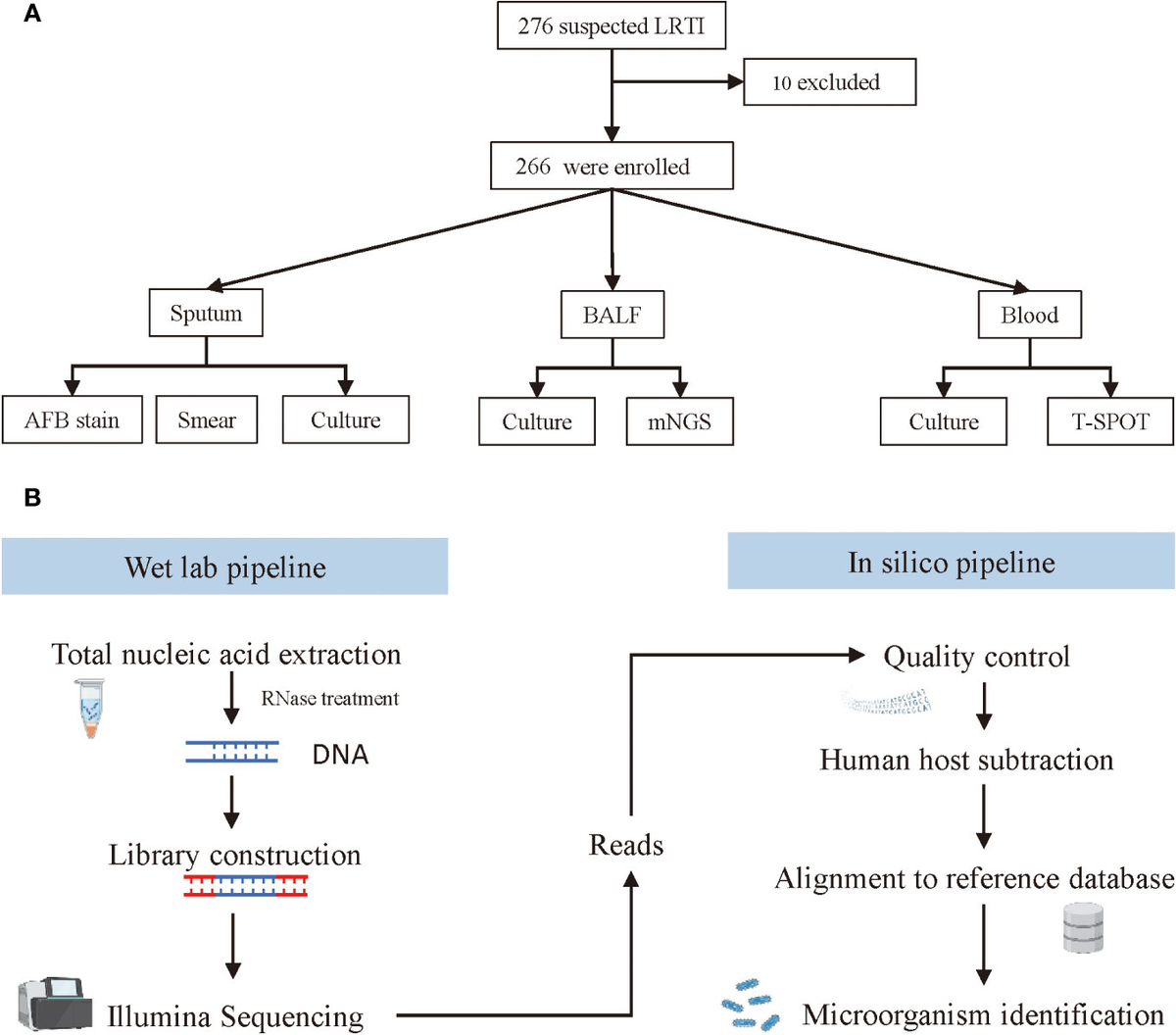 Frontiers | Clinical utility of metagenomic next-generation sequencing ...