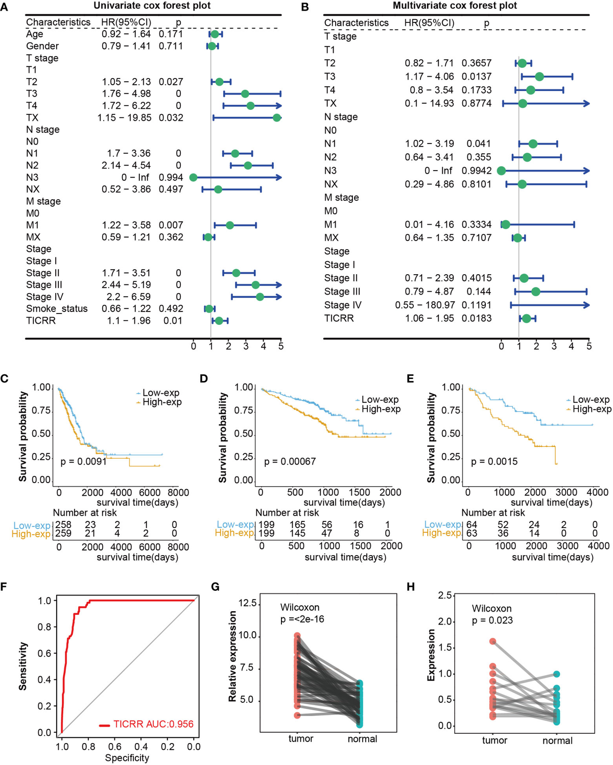 Frontiers | TICRR serves as a prognostic biomarker in lung