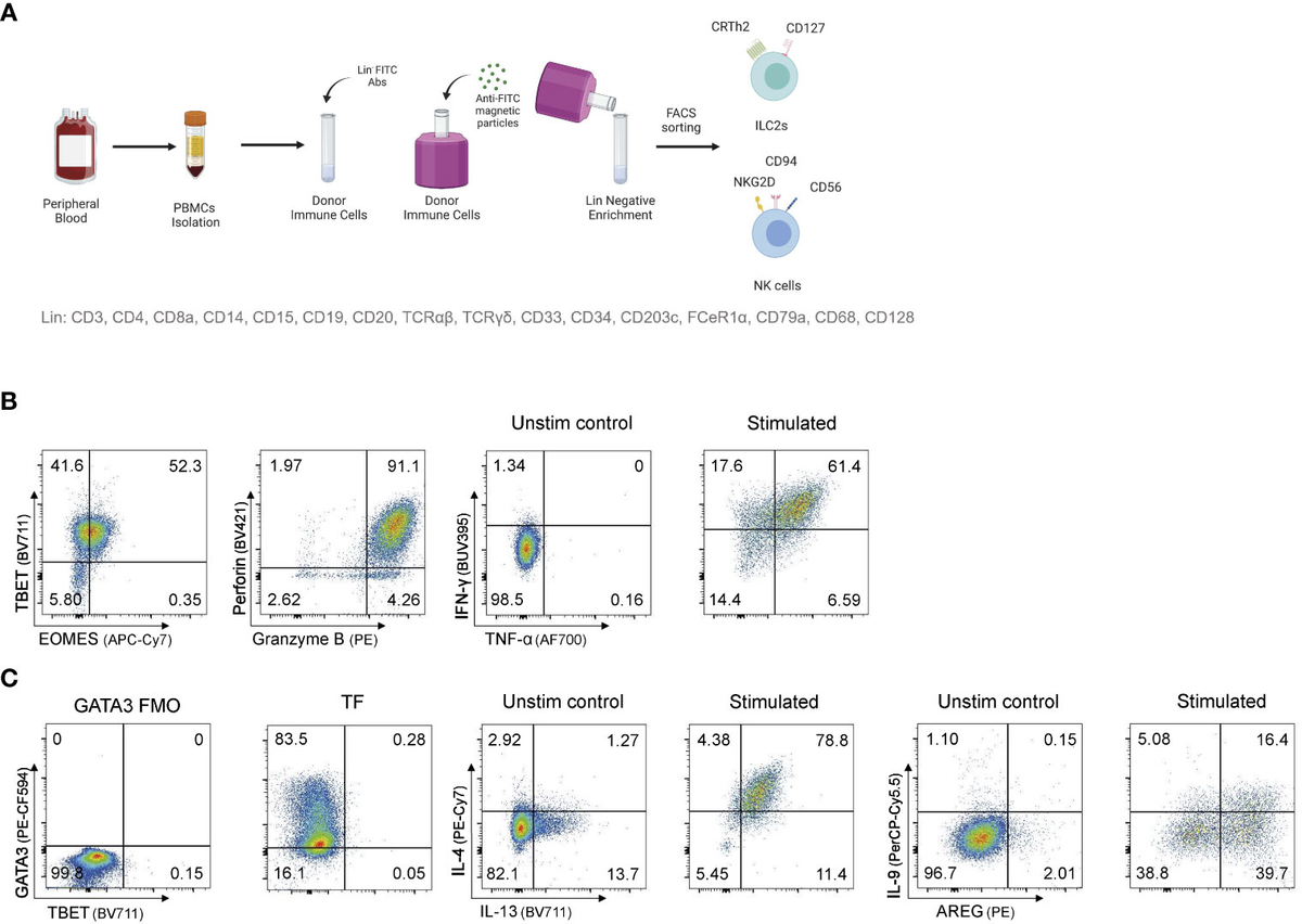 Frontiers | Efficient and stable CRISPR/Cas9-mediated genome